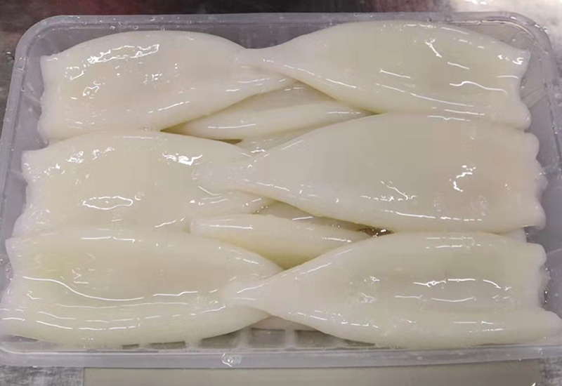 魷魚(yú)TO